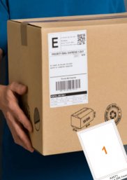 A4 Labels A4ST100  A4 Labels A4ST100