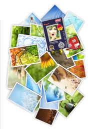 A4PG210-50S A4PG210-50S